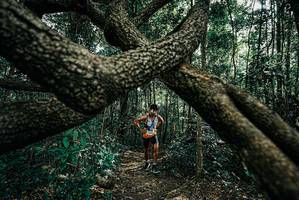 BIB: 
                            <button type="button" onclick="openModal(25664028)" class="btn btn-primary btn-sm float-right btn-popup" data-toggle="modal" data-target=".modal-high-quality">
                        <i class="fas fa-shopping-cart"></i> Add to Cart
                    </button>
                                            <button type="button" onclick="isThisMe(25664028, true)" class="btn btn-success btn-sm float-right btn-popup btn-isme hidden" data-toggle="tooltip" data-placement="bottom" title="นี่คือรูปของคุณใช่ไหม คลิกที่นี่เพื่อเอาเข้าอัลบั้ม">
                        <i class="fas fa-plus"></i> Add to album
                    </button>
                    <button type="button" onclick="isThisMe(25664028, false)" class="btn btn-warning btn-sm float-right btn-popup btn-isnotme hidden">
                        <i class="fas fa-ban"></i> Remove from album
                    </button>